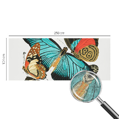 Wallpaper mural with a colorful butterfly design
