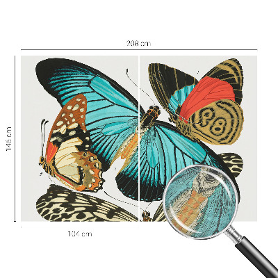 Wallpaper mural with a colorful butterfly design