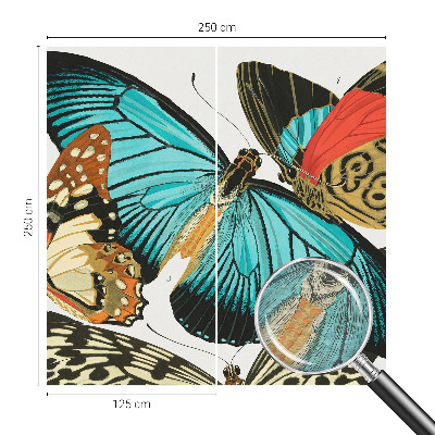 Wallpaper mural with a colorful butterfly design