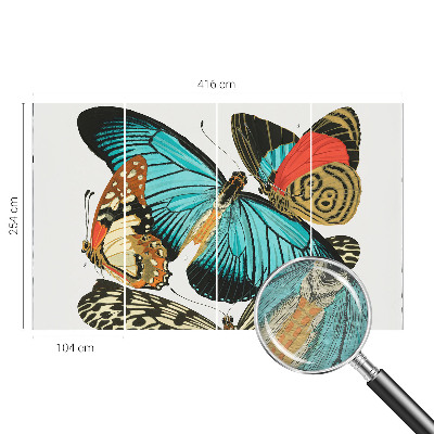 Wallpaper mural Colorful butterflies