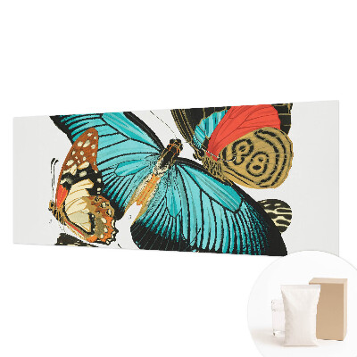 Wallpaper mural Colorful butterflies