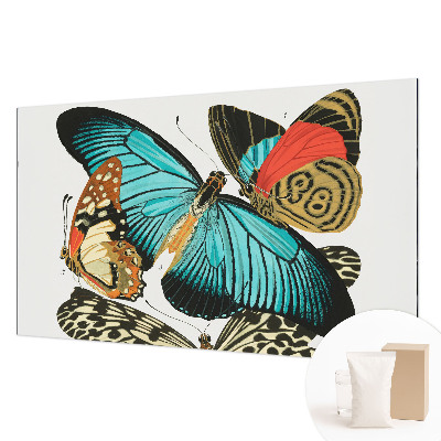 Wallpaper mural with a colorful butterfly design