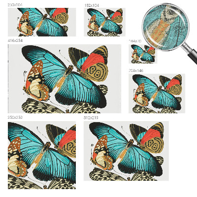 Wallpaper mural Colorful butterflies