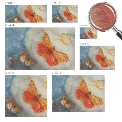 Large wall mural wallpaper with a colorful butterfly motif
