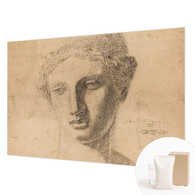 Premium wall mural for bedroom featuring a female portrait