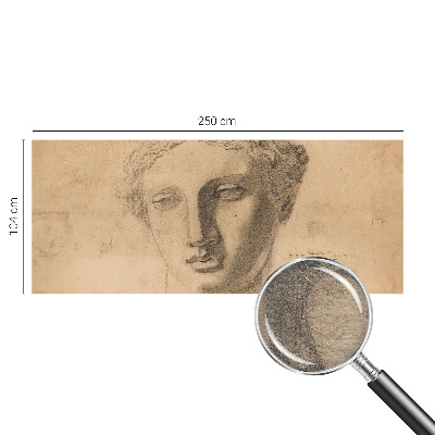 Premium wall mural for bedroom featuring a female portrait