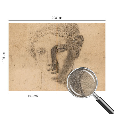 Premium wall mural for bedroom featuring a female portrait