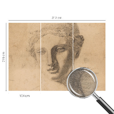 Premium wall mural for bedroom Female portrait