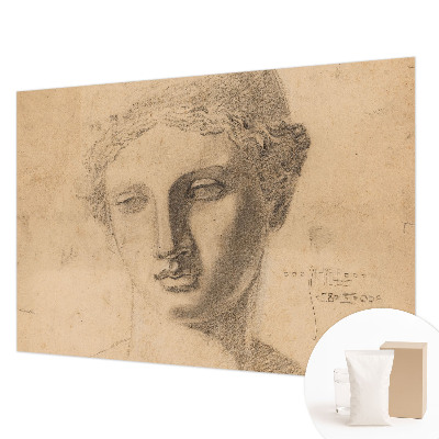 Premium wall mural for bedroom featuring a female portrait