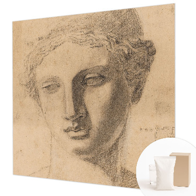 Premium wall mural for bedroom featuring a female portrait