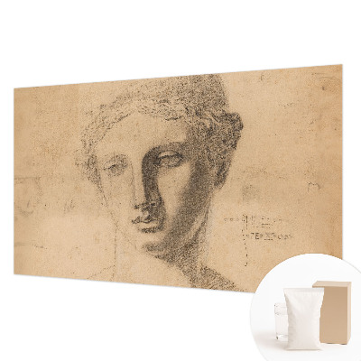 Premium wall mural for bedroom featuring a female portrait
