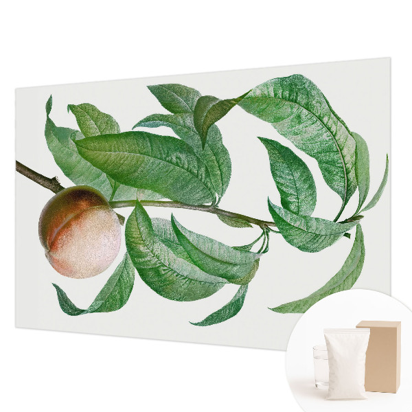 Bedroom wall mural wallpaper with a ripe peach design
