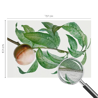 Bedroom wall mural wallpaper with a ripe peach design