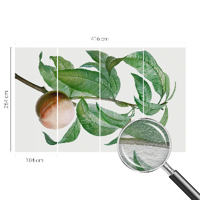 Bedroom wall mural wallpaper with a ripe peach design