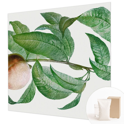 Bedroom wall mural wallpaper with a ripe peach design