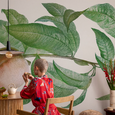 Bedroom wall mural wallpaper with a ripe peach design