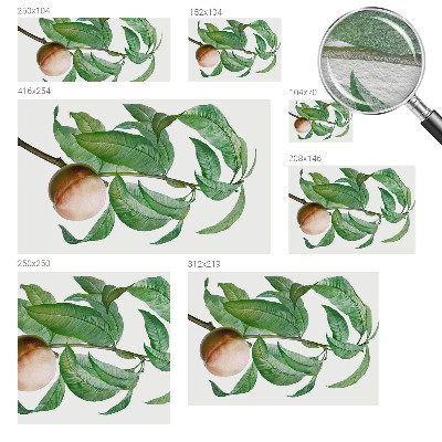 Bedroom wall mural wallpaper with a ripe peach design