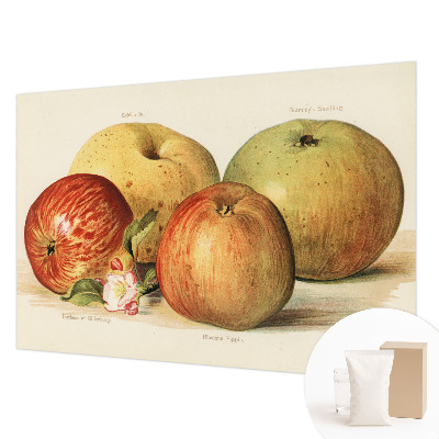 Wallpaper mural with apple blossom design