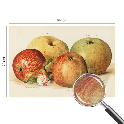 Wallpaper mural with apple blossom design