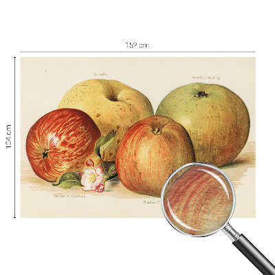 Wallpaper mural with apple blossom design