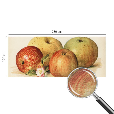 Wallpaper mural with apple blossom design