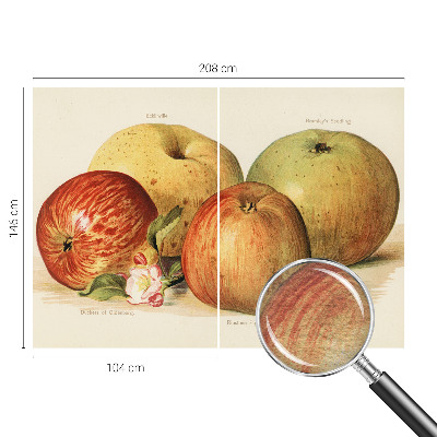 Wallpaper mural with apple blossom design
