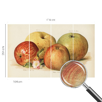 Wallpaper mural with apple blossom design