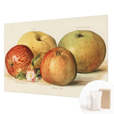 Wallpaper mural with apple blossom design