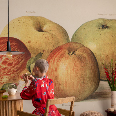 Wallpaper mural with apple blossom design