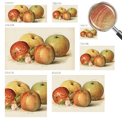 Wallpaper mural with apple blossom design