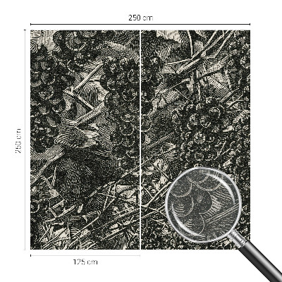 Wall mural Grape print