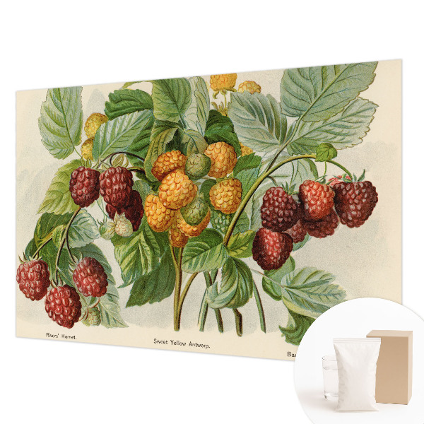 Photo wallpaper with a classic raspberry pattern