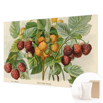 Photo wallpaper with a classic raspberry pattern