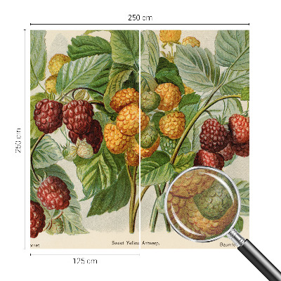 Photo wallpaper Classic raspberries