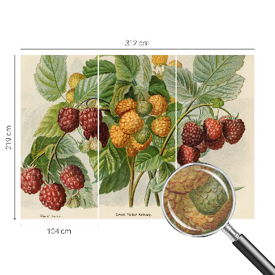 Photo wallpaper Classic raspberries