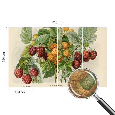 Photo wallpaper with a classic raspberry pattern
