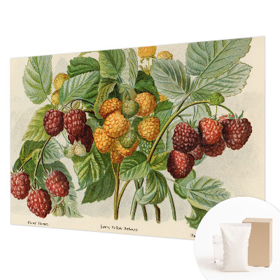 Photo wallpaper with a classic raspberry pattern