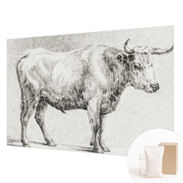Wall mural for bedroom featuring a bull drawn in pencil style