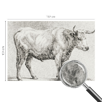 Wall mural for bedroom featuring a bull drawn in pencil style