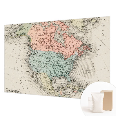 Custom size wall mural with a historical map design