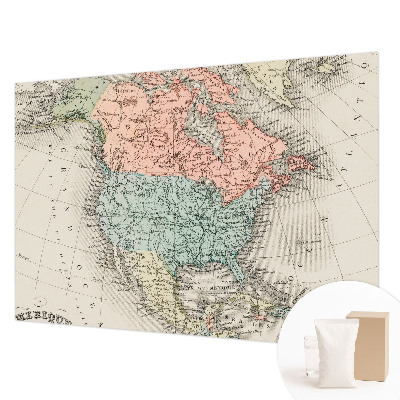 Custom size wall mural with a historical map design