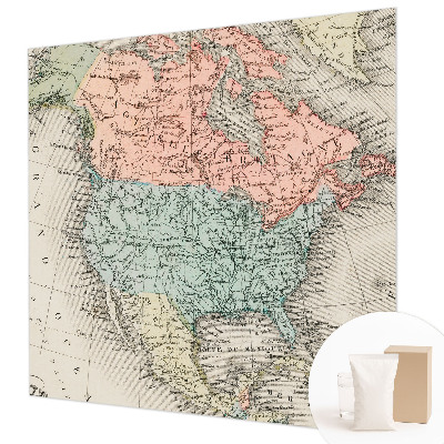 Custom size wall mural Historical map