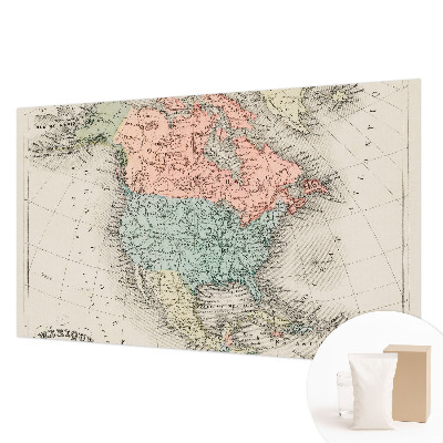 Custom size wall mural with a historical map design