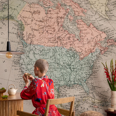Custom size wall mural Historical map