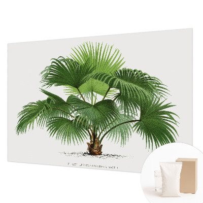 Modern wall mural with an exotic palm tree design for the living room