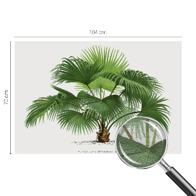 Modern wall mural with an exotic palm tree design for the living room