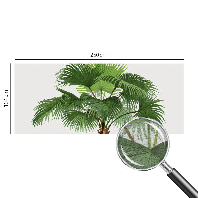 Modern wall mural with an exotic palm tree design for the living room