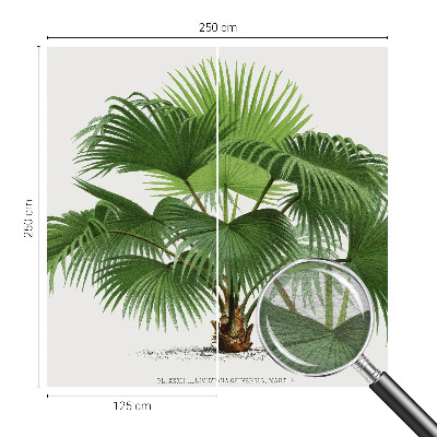 Modern wall mural with an exotic palm tree design for the living room