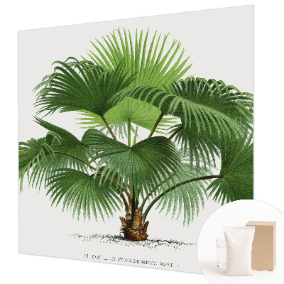 Modern wall mural with an exotic palm tree design for the living room