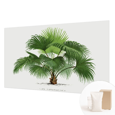 Modern wall mural with an exotic palm tree design for the living room